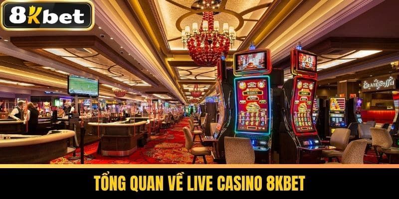 Một vài tổng quan chi tiết về casino 8kbet